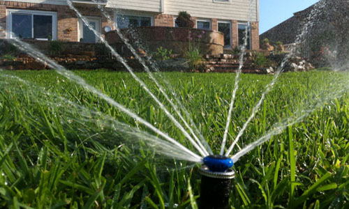 Save Water Save Money