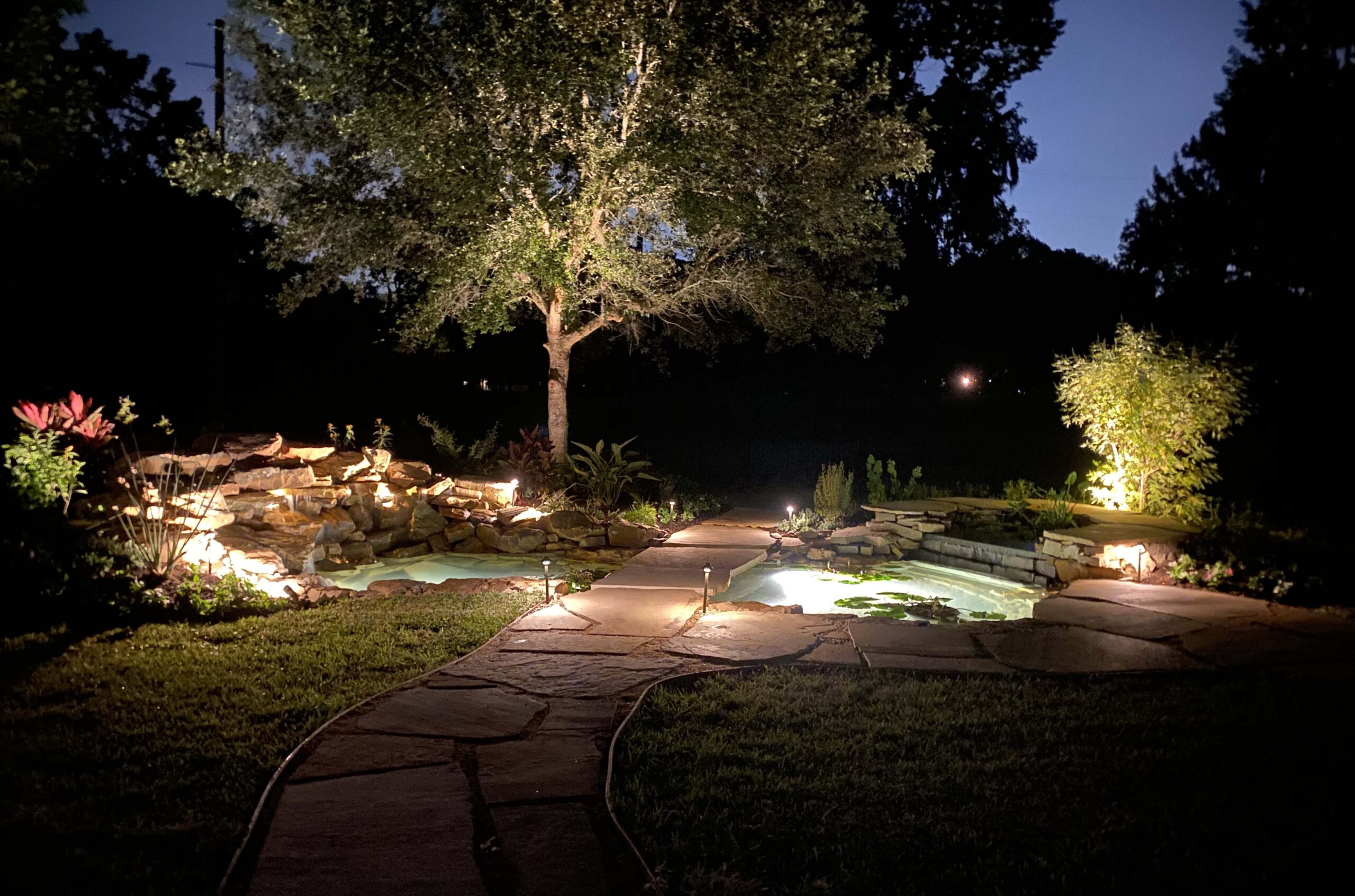 Mike Ball Waterfall Koi Pond 1